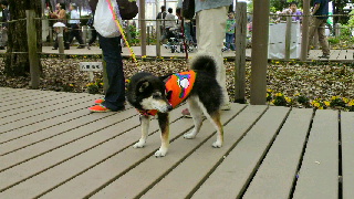 2012050514550000.jpg