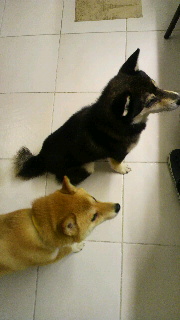 2012050709370000.jpg