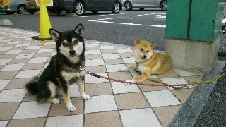 2012050819550001.jpg