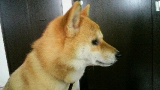 2012051007340000.jpg