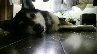 2012051007340001.jpg