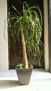 2012051008090000.jpg