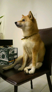 2012051008090001.jpg