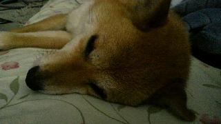 2012051008090002.jpg