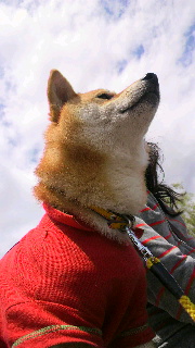 2012051320190000.jpg