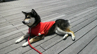 2012051320190001.jpg
