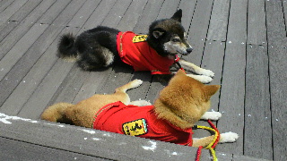 2012051320200000.jpg
