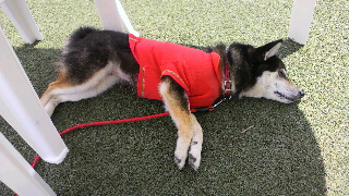 2012051320200001.jpg