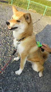 2012051606040000.jpg