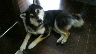 2012051606060000.jpg