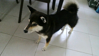 2012051612540000.jpg