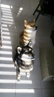 2012051617190000.jpg