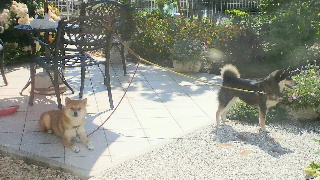 2012051908430000.jpg