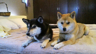 2012052018560000.jpg