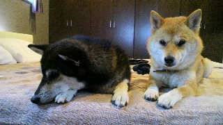 2012052018570001.jpg