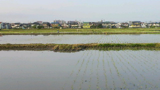 2012053007320000.jpg