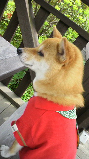 2012053007320001.jpg