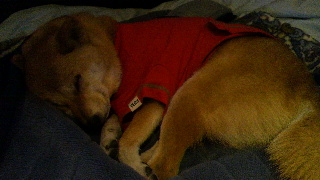 2012053007320002.jpg