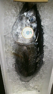 2012060309510000.jpg