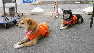 2012060310030000.jpg