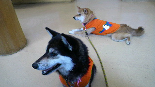 2012060321050000.jpg