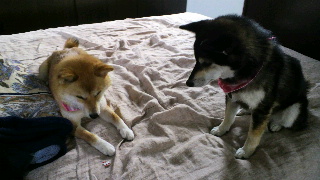 2012060405470000.jpg