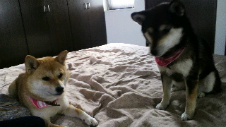2012060405470001.jpg