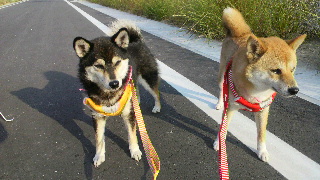 2012060406330000.jpg