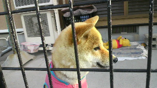 2012060606100000.jpg