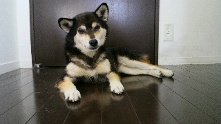 2012060606330001.jpg