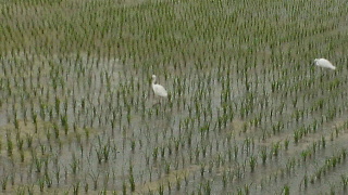 2012060606350000.jpg