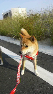 2012060908080001.jpg