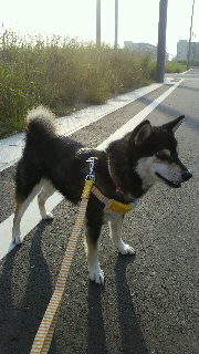 2012060908080002.jpg