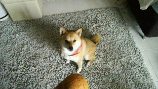 2012060910270000.jpg