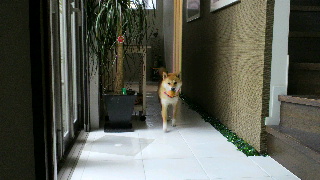 2012060910270001.jpg