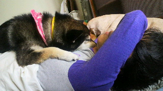 2012061007320000.jpg