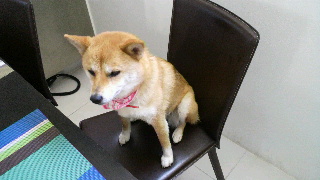 2012061013240000.jpg