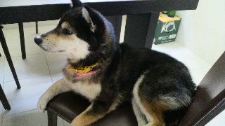 2012061013240001.jpg
