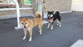 2012061018550000.jpg