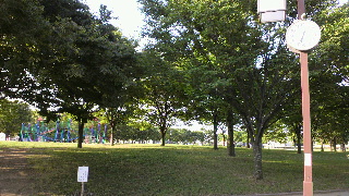 2012061106460000.jpg