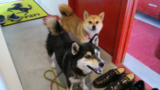 2012061107050000.jpg
