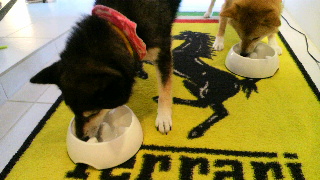 2012061107050001.jpg