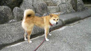 2012061306350000.jpg