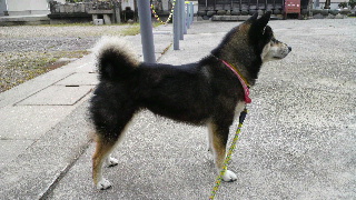 2012061306350001.jpg
