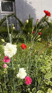 2012061406230000.jpg