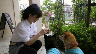 2012061610170000.jpg