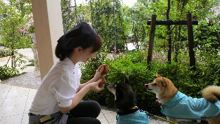 2012061610170001.jpg