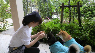 2012061610170002.jpg