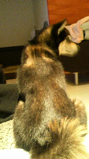 2012061611300000.jpg