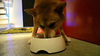 2012061718120001.jpg